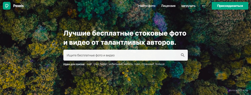 ТОП Бесплатных фотостоков для всех, кто работает с контентом