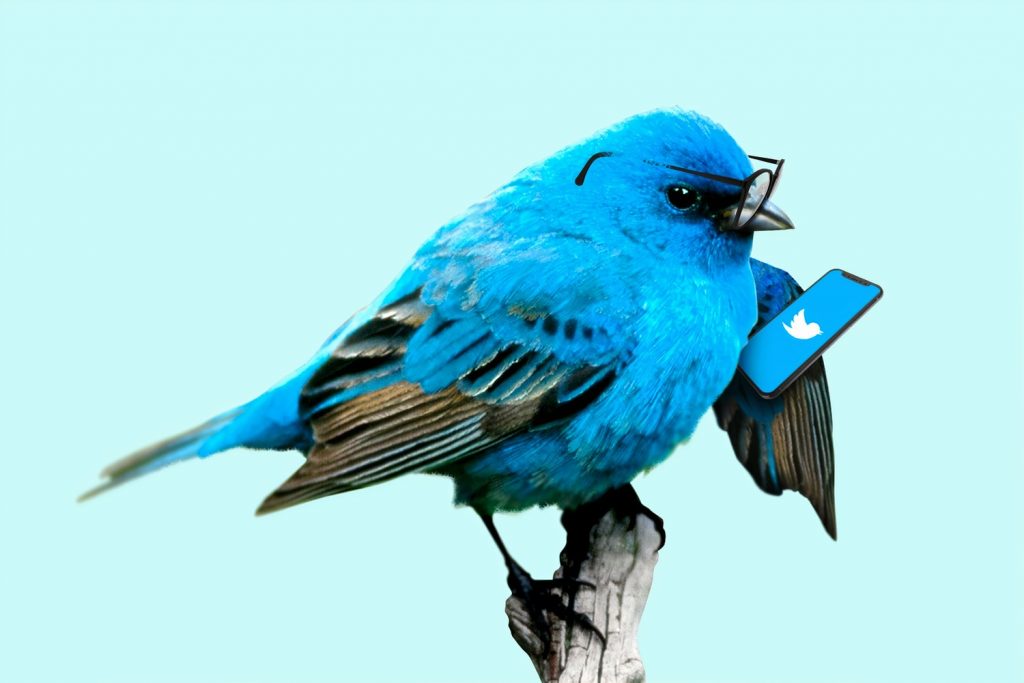 Как запустить рекламную кампанию в twitter?