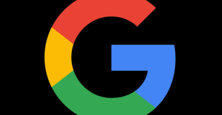 google logo feature