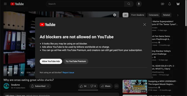 уведомление о блокировке просмотра на youtube