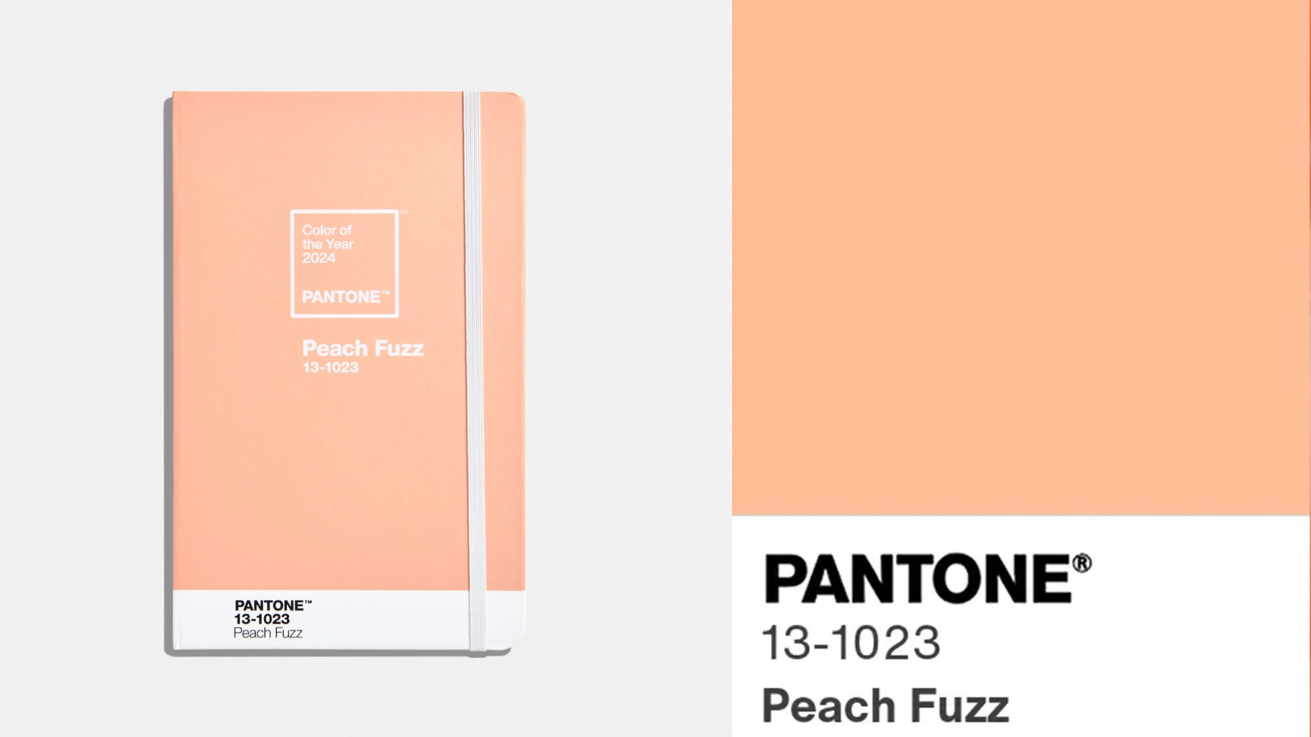 pantone peach fuzz