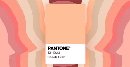 цвет 2024 года pantone peach fuzz