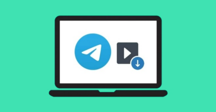 telegram boty skachat video