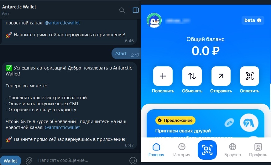 antarctic wallet авторизация