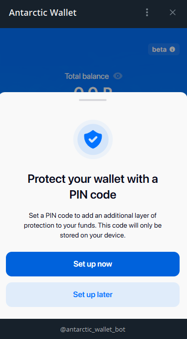 antarctic wallet pin