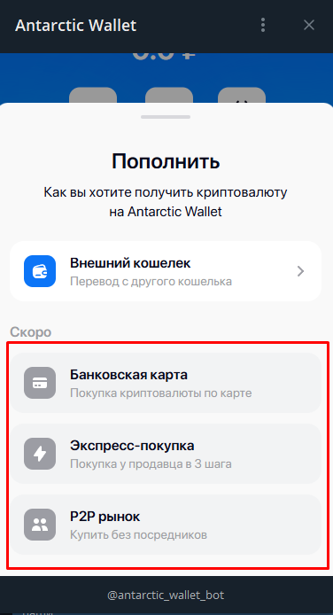 antarctic wallet пополнение