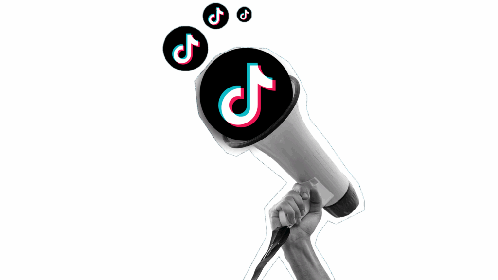 TikTok Ads арбитраж трафика источник трафика