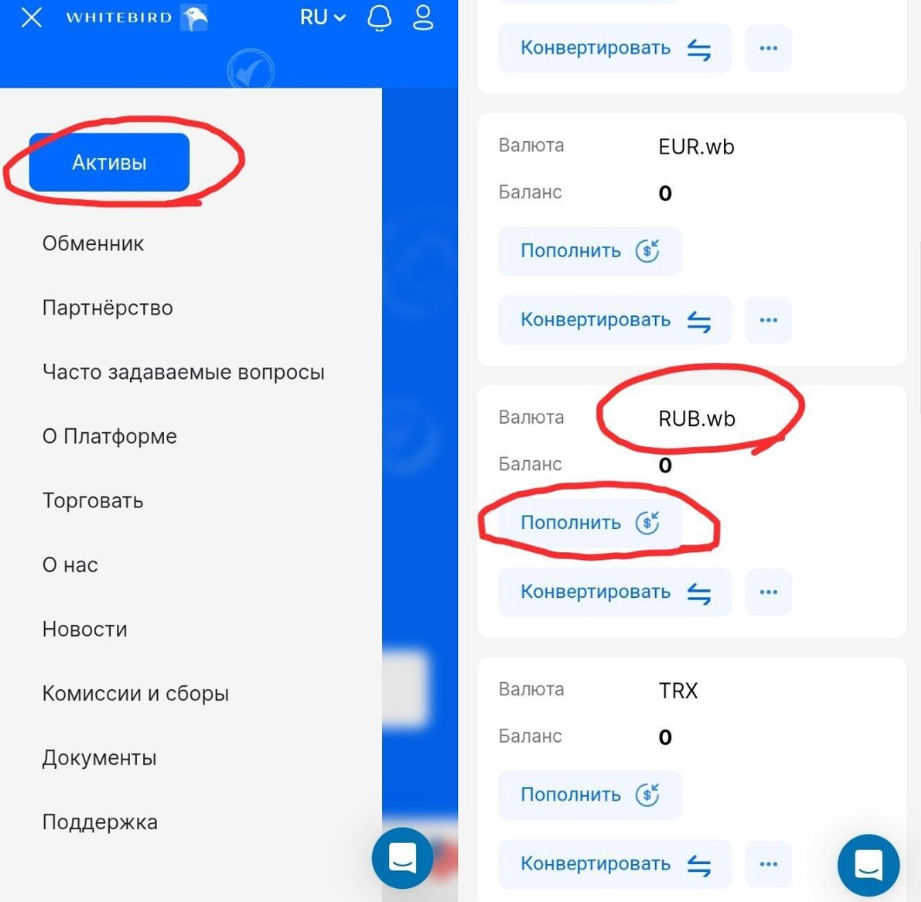 WhiteBird пополнение