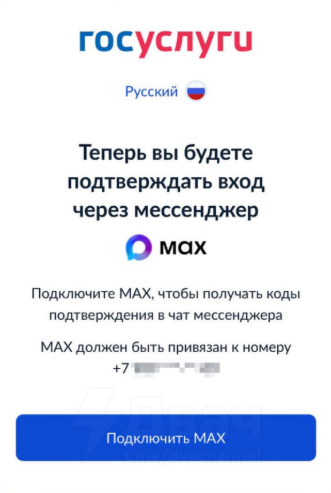 макс госуслуги